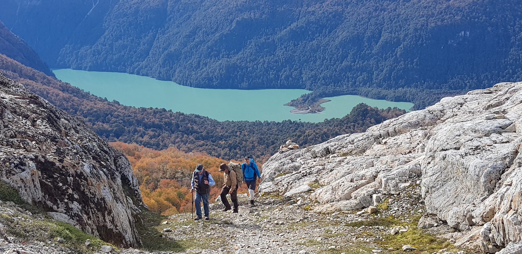 Bosque Patagónico